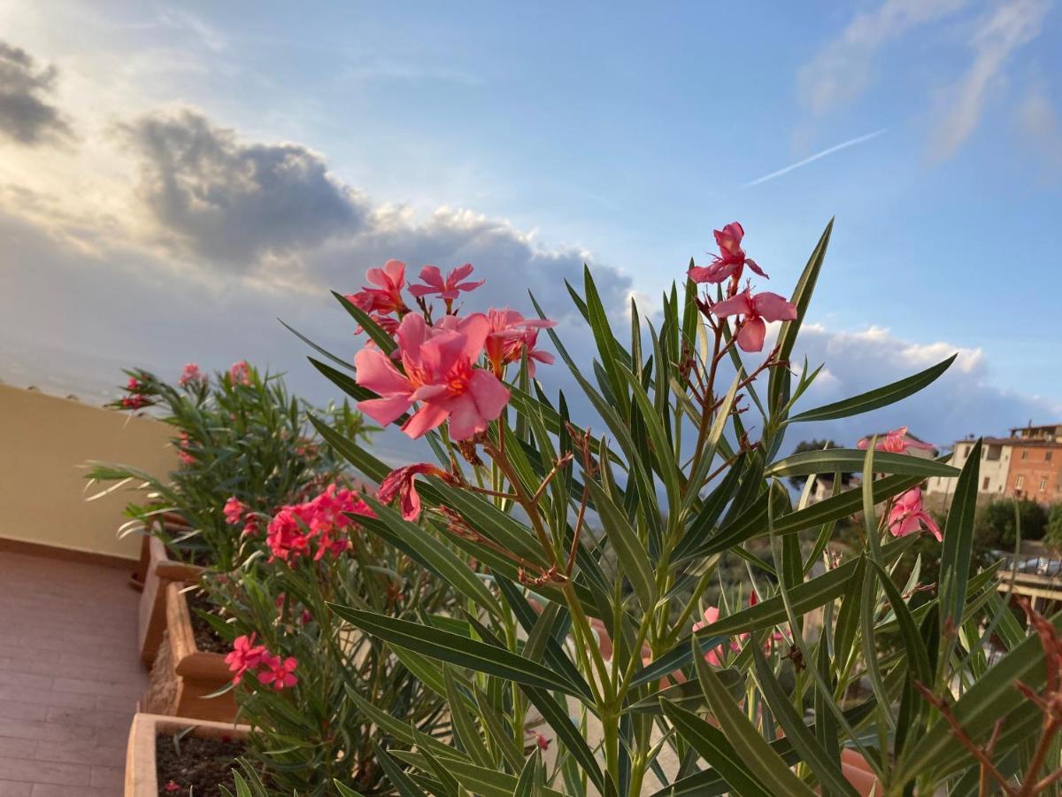 La Terrazza Di Re Scarlino Apartment ภายนอก รูปภาพ